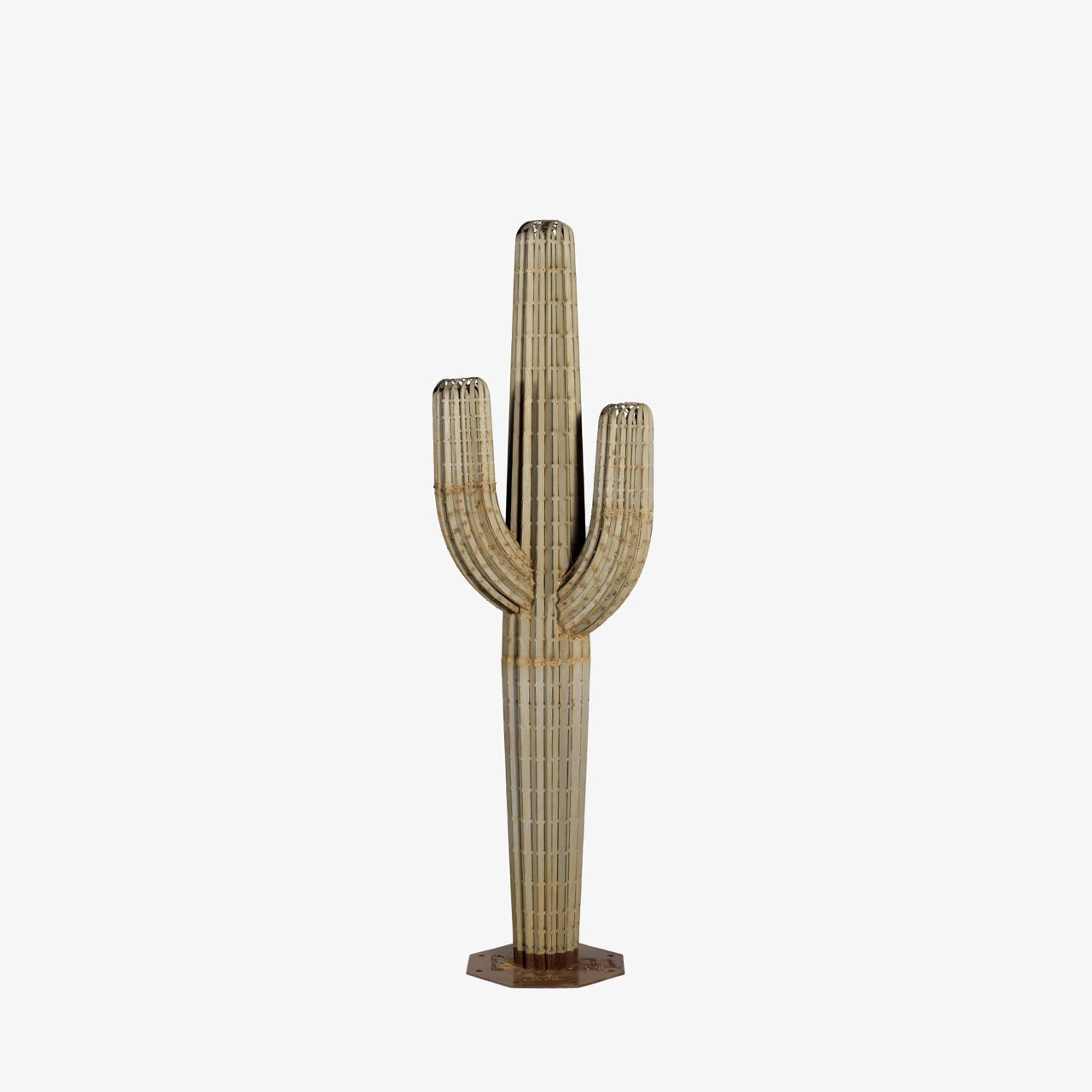 Saguaro Cactus