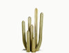 7 Pc Mexican Fence Post