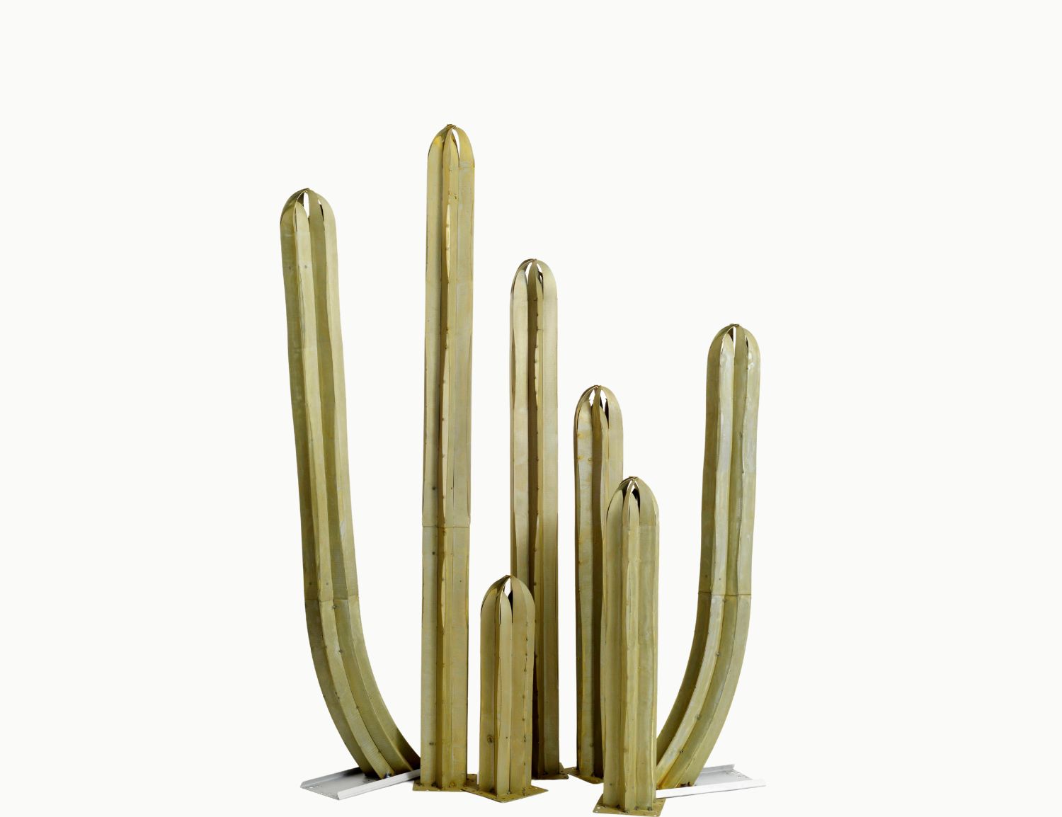 7pc Mexican Fence Post cluster on white background