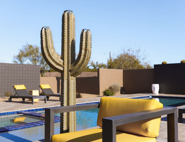 Saguaro Torch