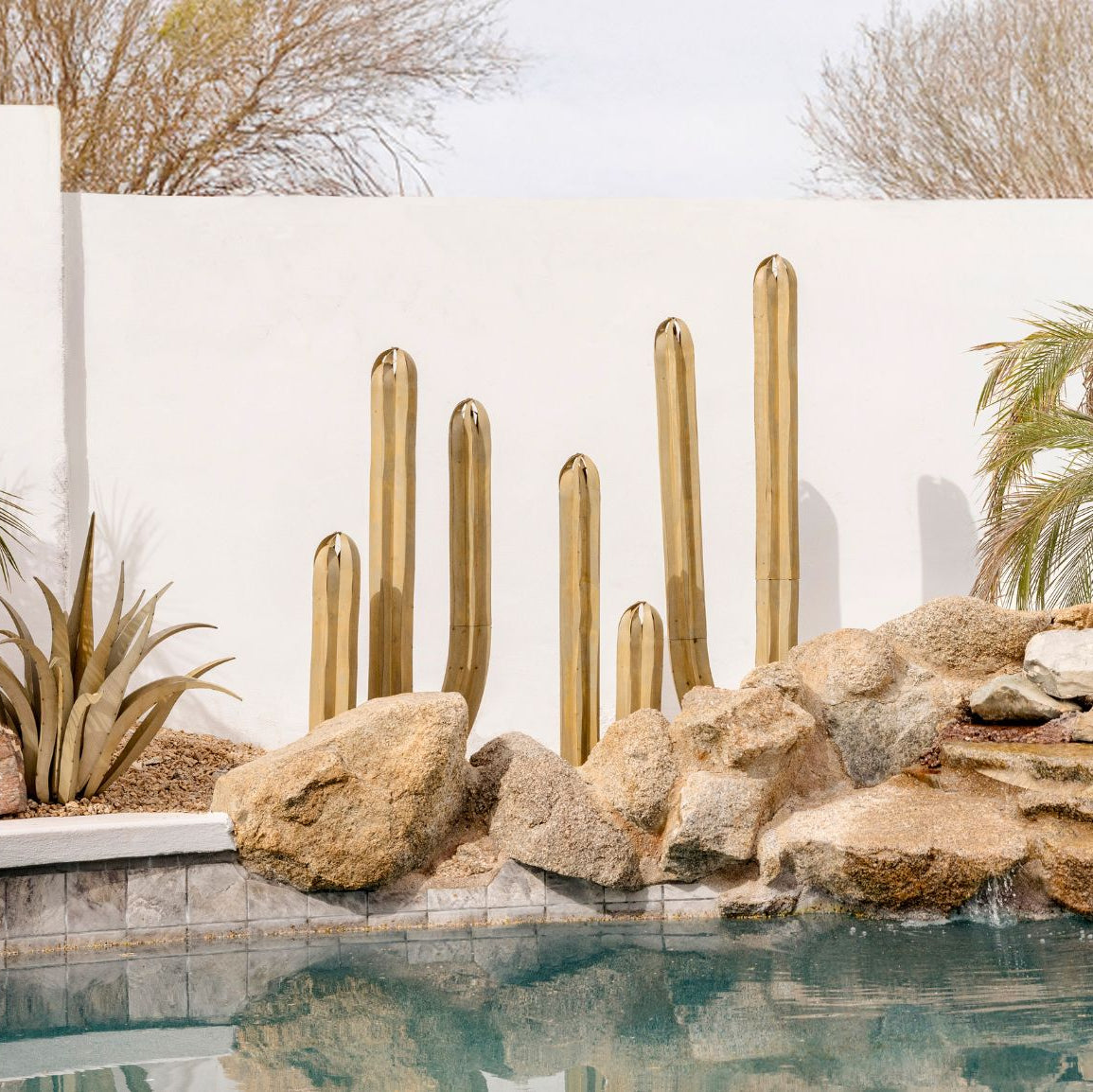 Steel Mexican fence post cactus behind a pool