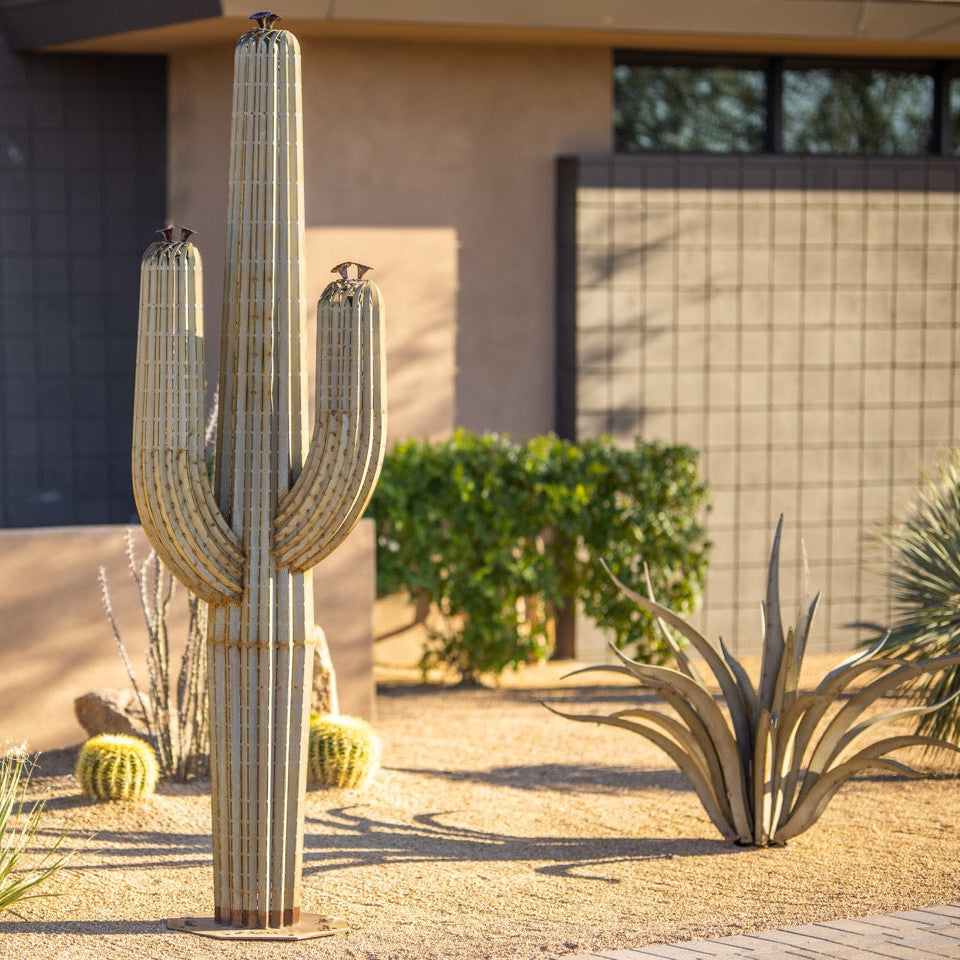 saguaro cactus house plants Saguaro Landscape Six Arm Cactus Desert Steel