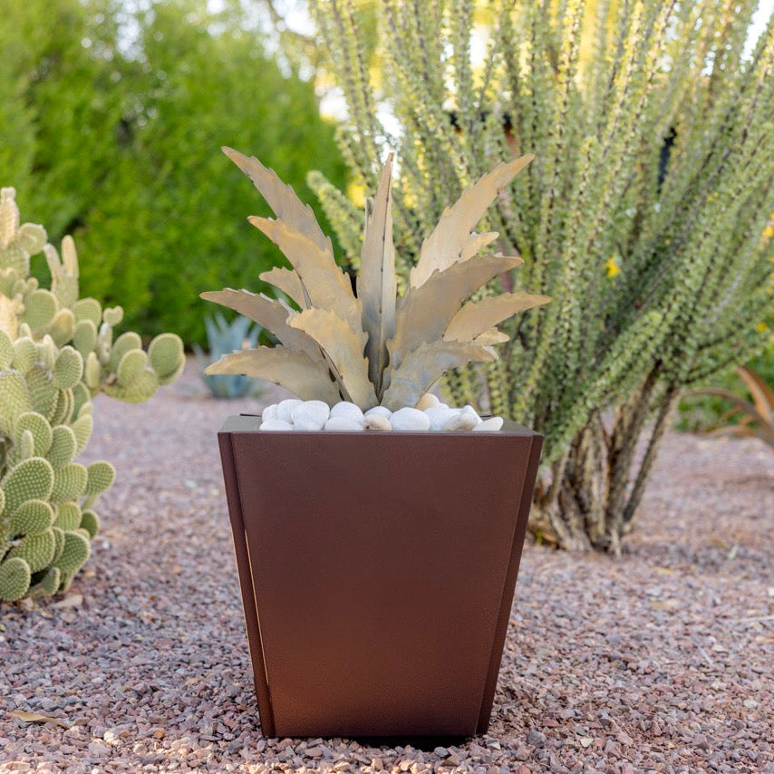 Decorative planter with succulents in a desert landscape