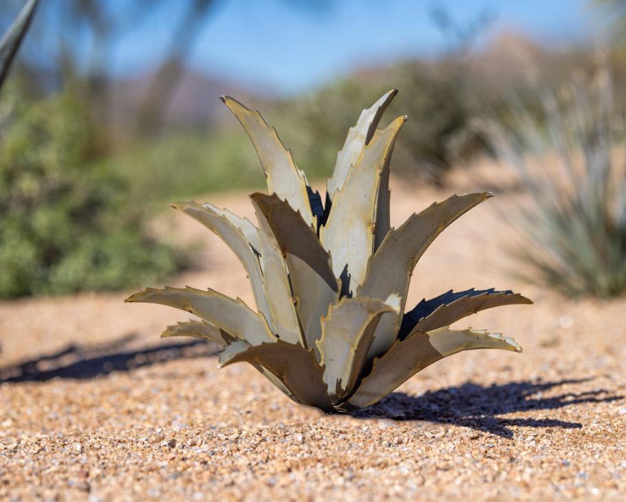 Metal Americana Agave