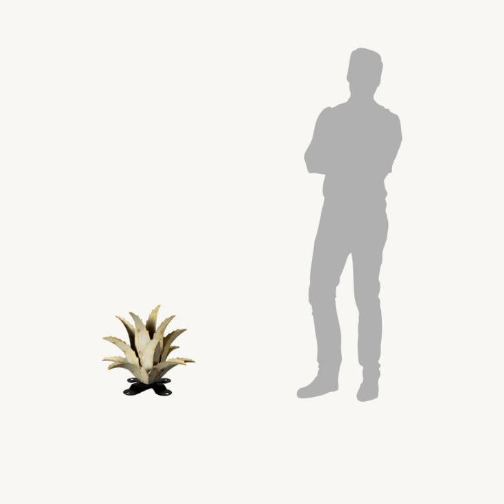 Americana Agave