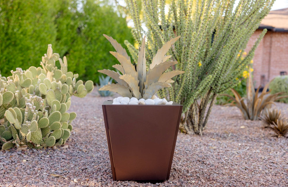 Decorative planter with succulents in a desert landscape