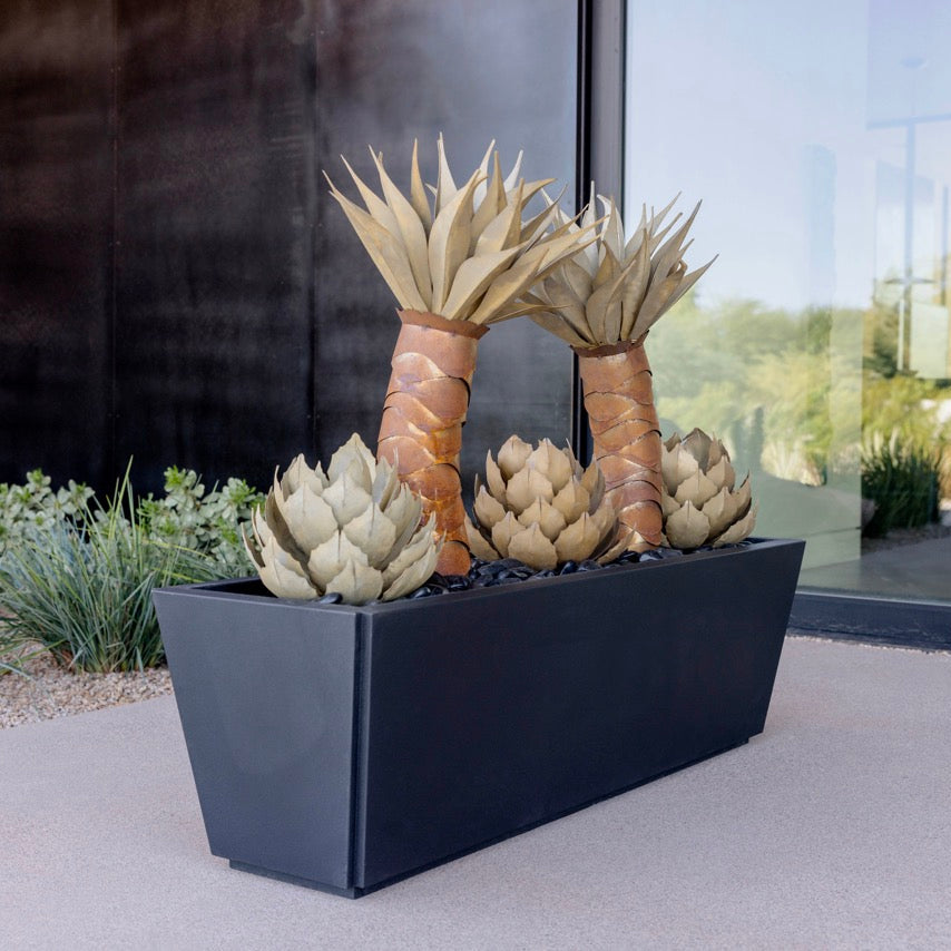 Foxtail + Artichoke + Planter Bundle