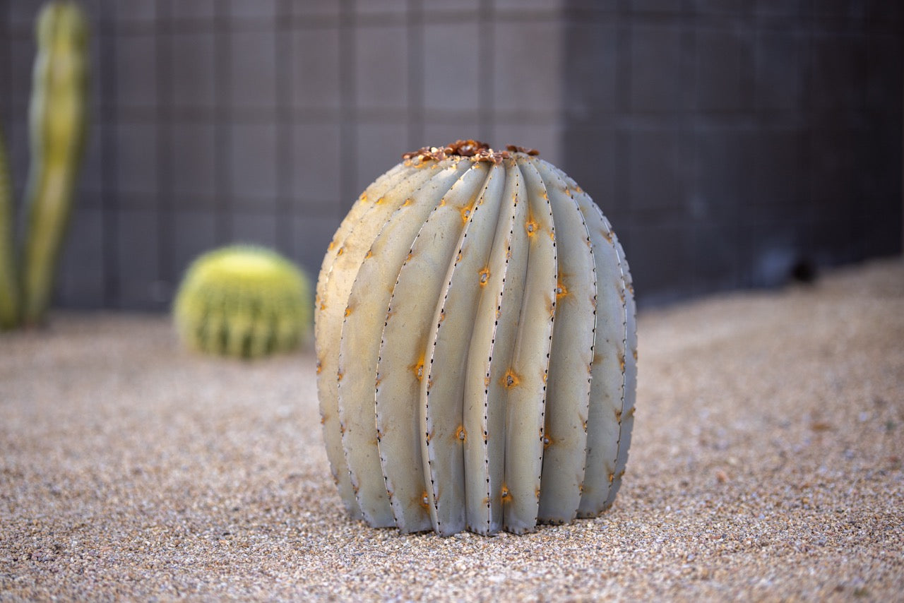 Fish-Hook Barrel Cactus – On the road with Jim