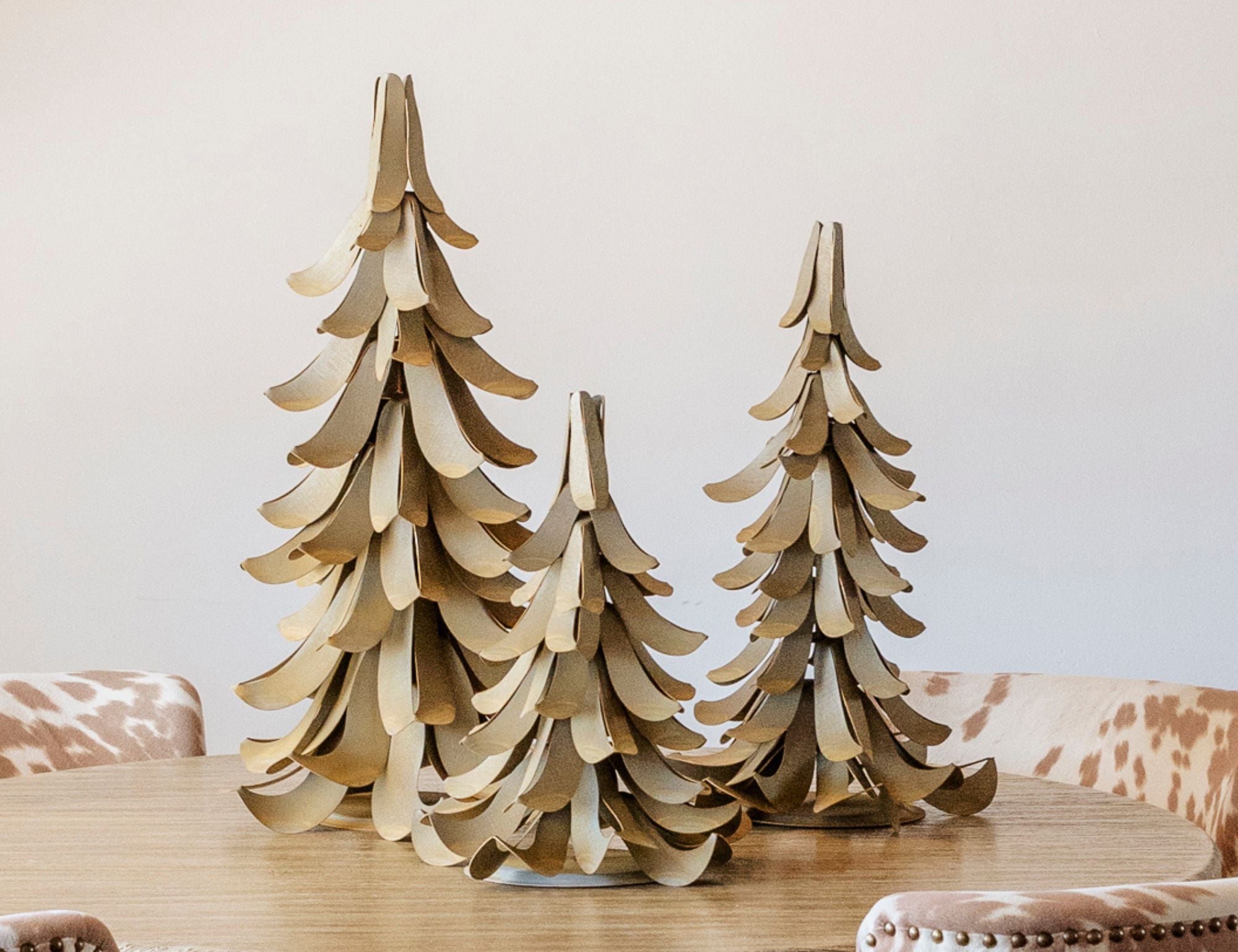 Steel Blue Atlas Cedar Trees on a table