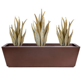 Emperors + Planter Bundle