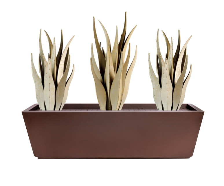 Emperors + Planter Bundle