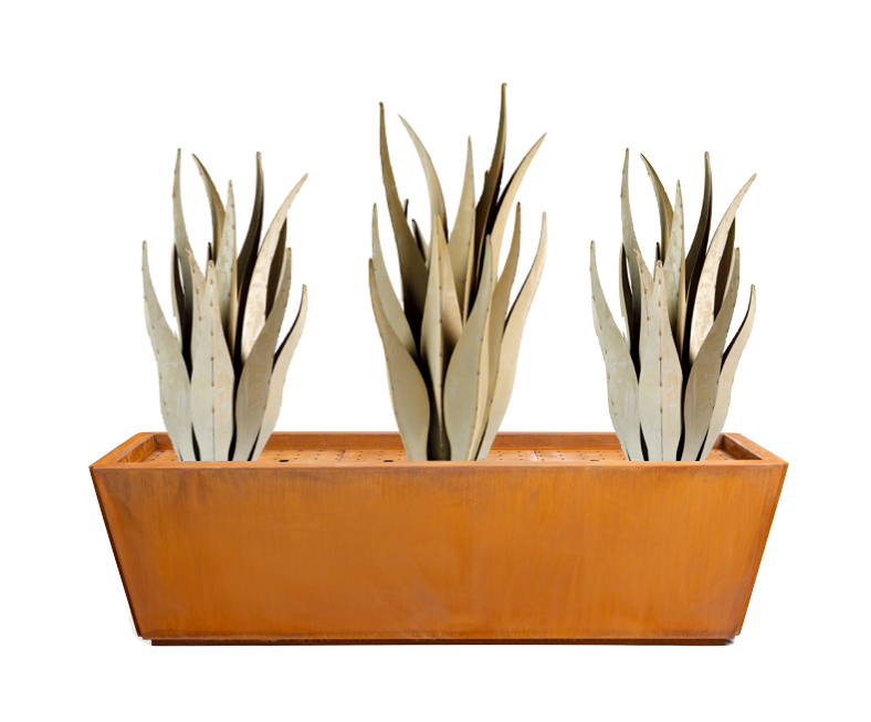 Emperors + Planter Bundle