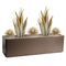 Emperor + Yucca + Planter Bundle