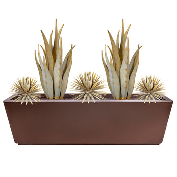 Emperor + Yucca + Planter Bundle