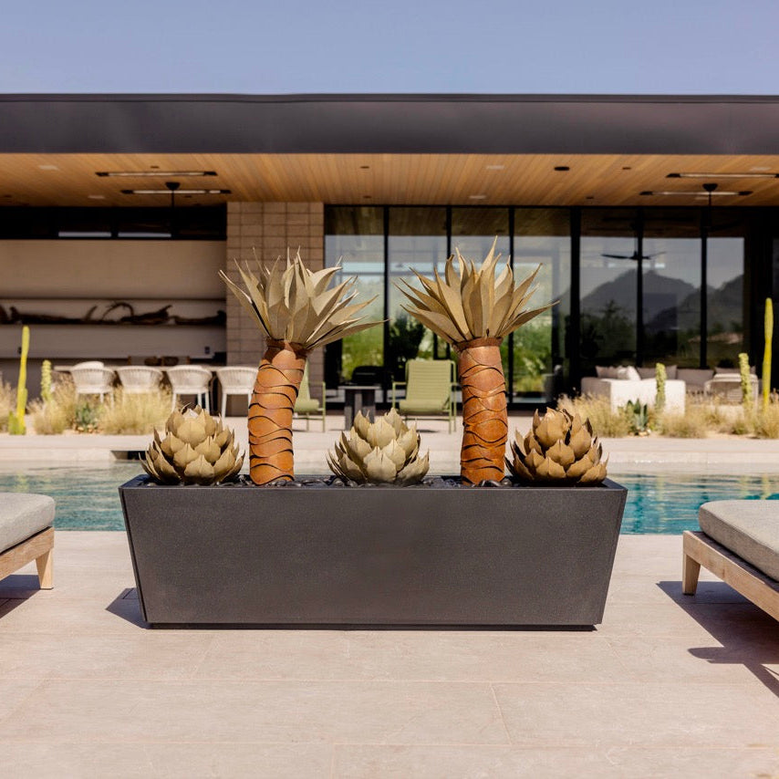 A modern outdoor poolside scene with two wooden lounge chairs on either side of a large black rectangular planter holding three tall agave plants and two smaller cactus-like succulents. A contemporary house with large glass windows and a wood ceiling is in the background.