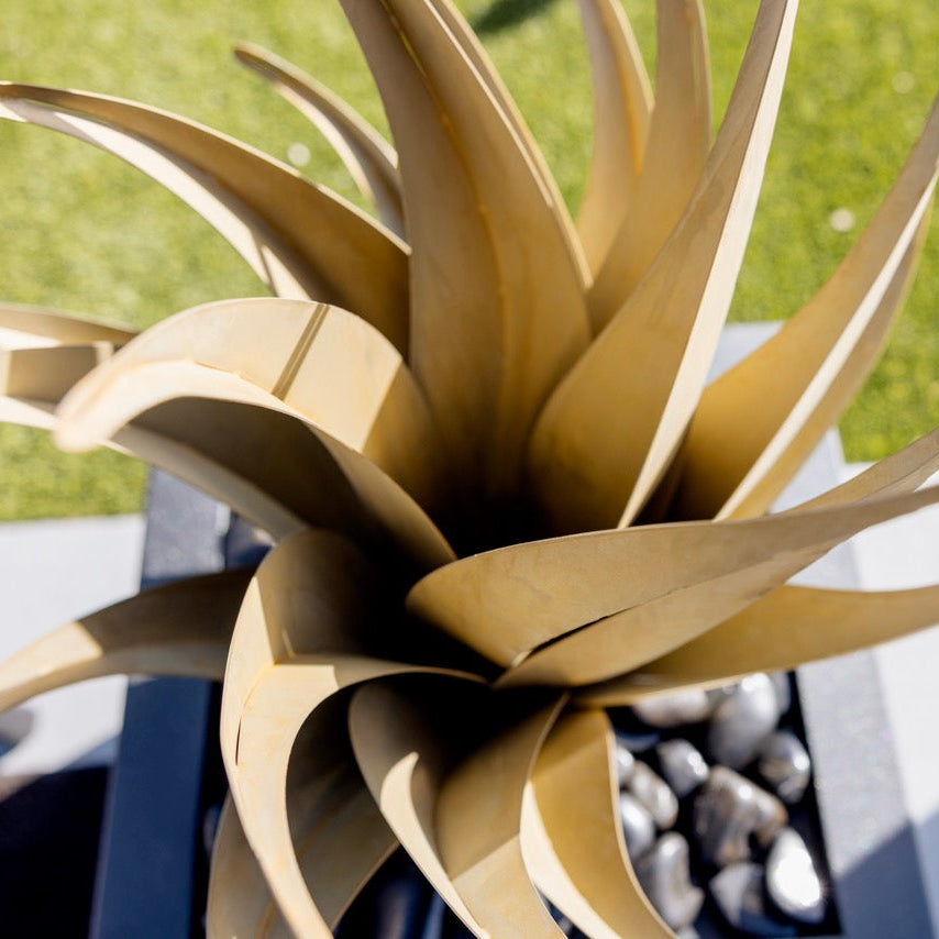 Close-up of a large, spiky agave with a blurred green background
