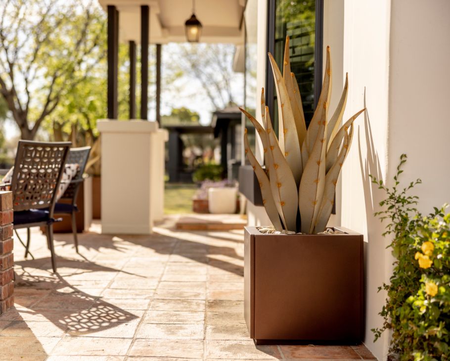 LG Emperor in Planter