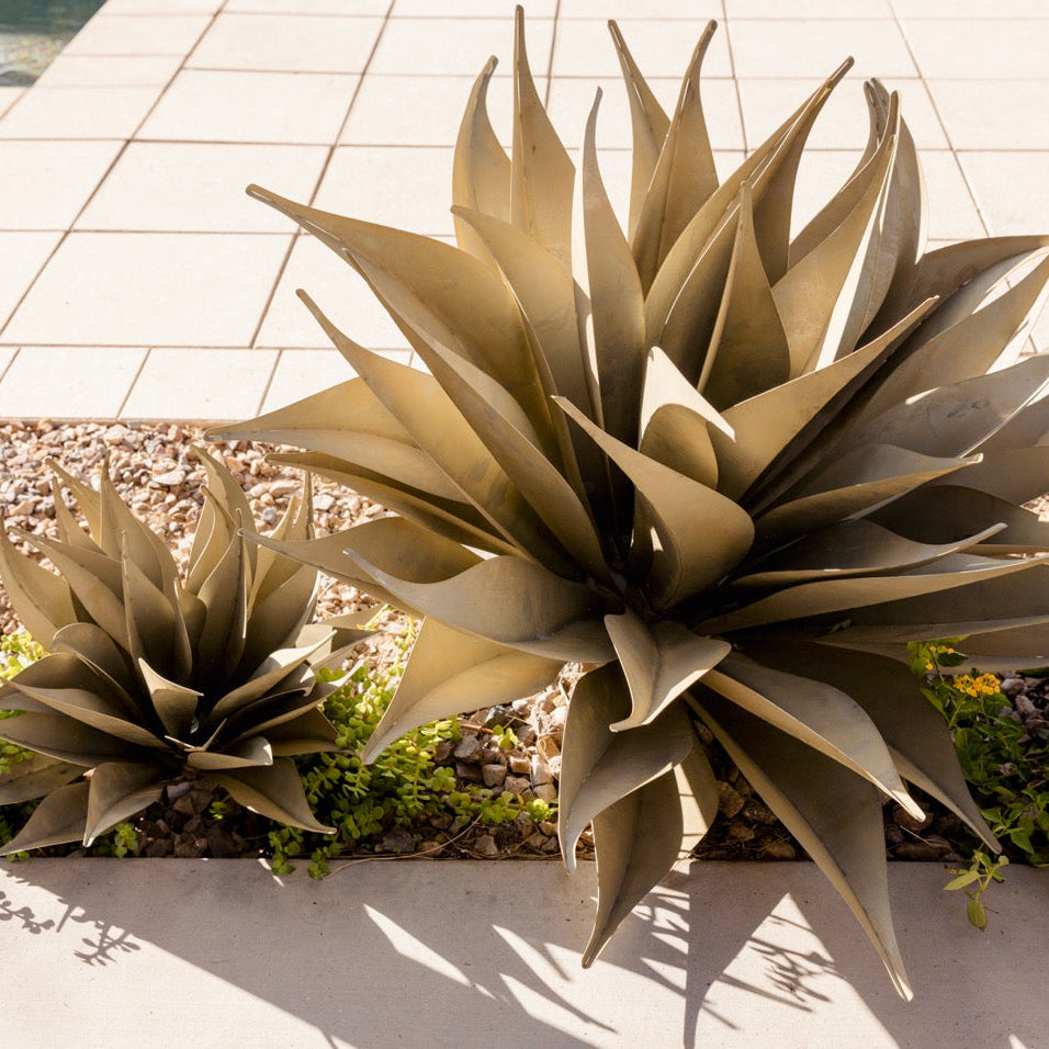 Two large bronze-finished metal agave sculptures displayed outdoors in a landscaped garden bed with gravel, small green plants, and yellow flowers.