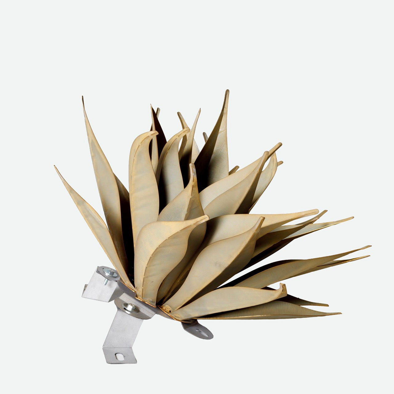 Foxtail | 20"x14"H SM
