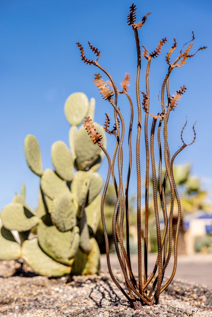 Octillo Oracle Ocotillo | Metal Landscape Art | Desert Steel