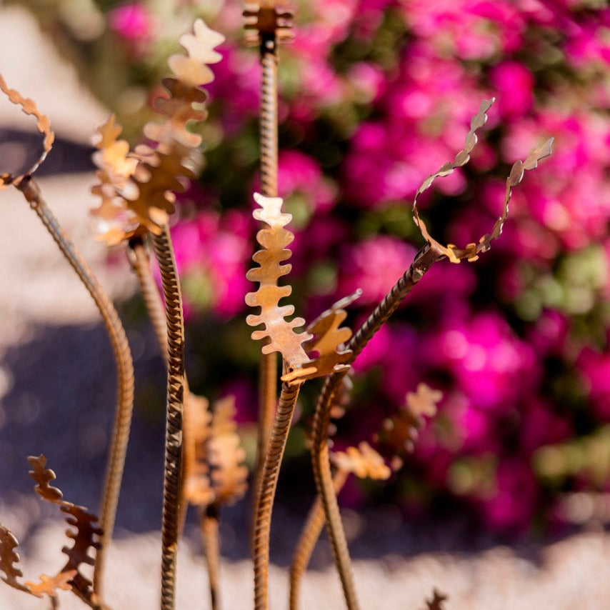 Desert Steal Metal Plants