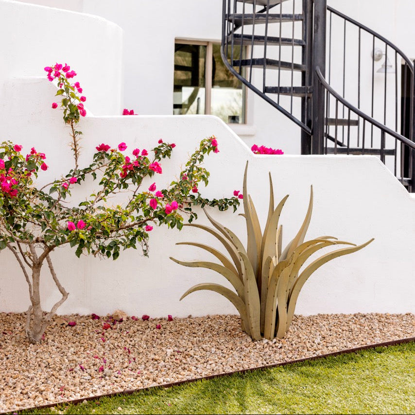 A modern white stucco building exterior featuring a black metal spiral staircase, landscaped with pink bougainvillea flowers, a sculptural agave plant, and a gravel bed.