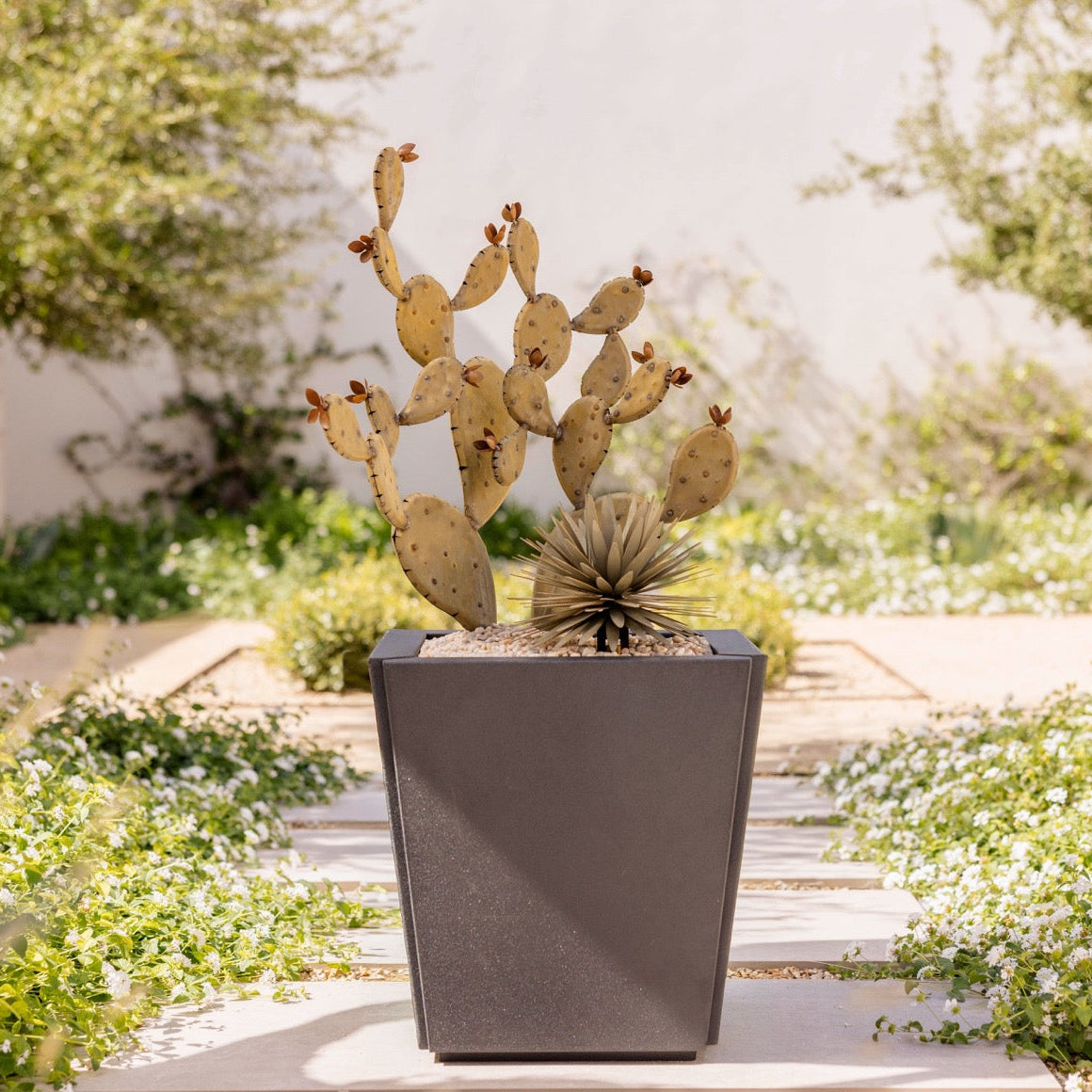 Prickly Pear + Yucca + Planter + Rock