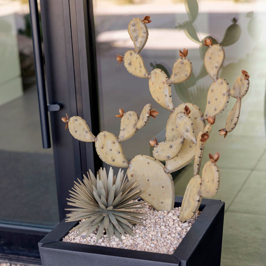 Prickly Pear + Yucca + Planter + Rock