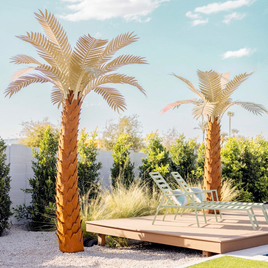 Crescent Palm Tree
