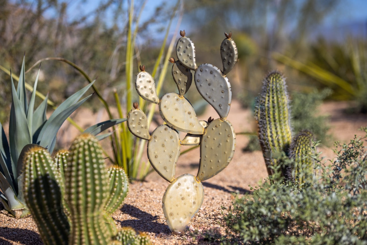 Prickly Pear | Metal Landscape Art | Desert Steel