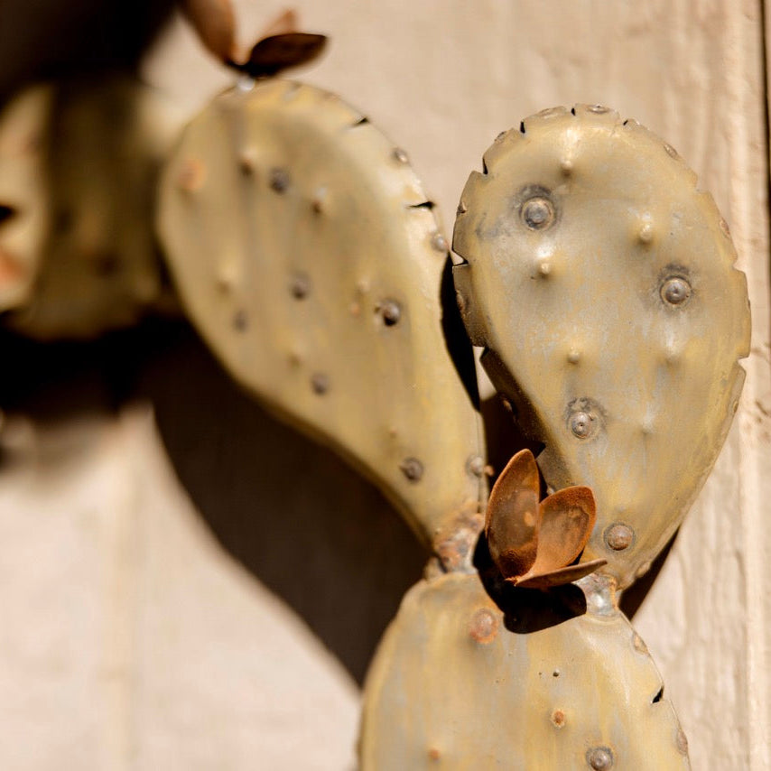 A close-up of a prickly pear cactus pad with pale beige pads and small dark spines, photographed against a light wood wall with shallow depth of field.