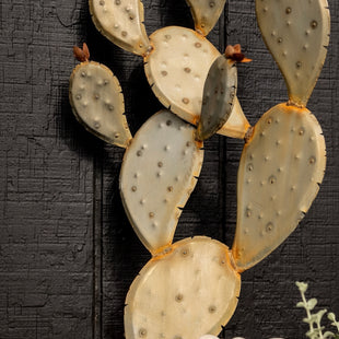 Paddle Cactus