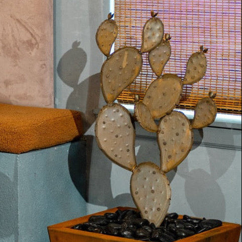 Dining area with a cactus plant, wooden chair, and marble table.