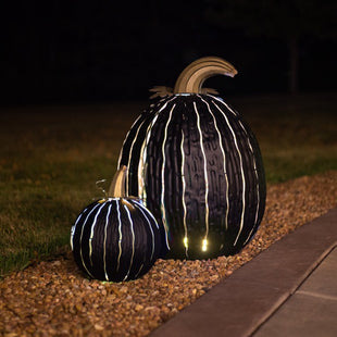 Limited Quantity: XL Pumpkin Set