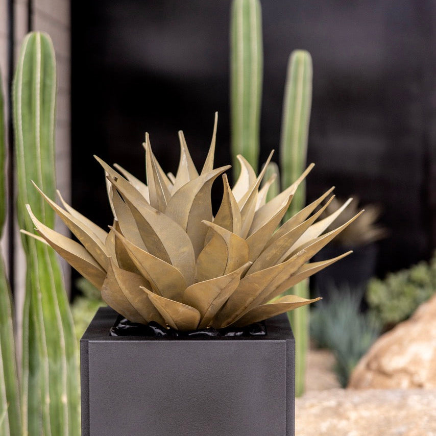 A steel agave succulent in a square black planter, styled in a desert garden setting with cacti and rocks.
