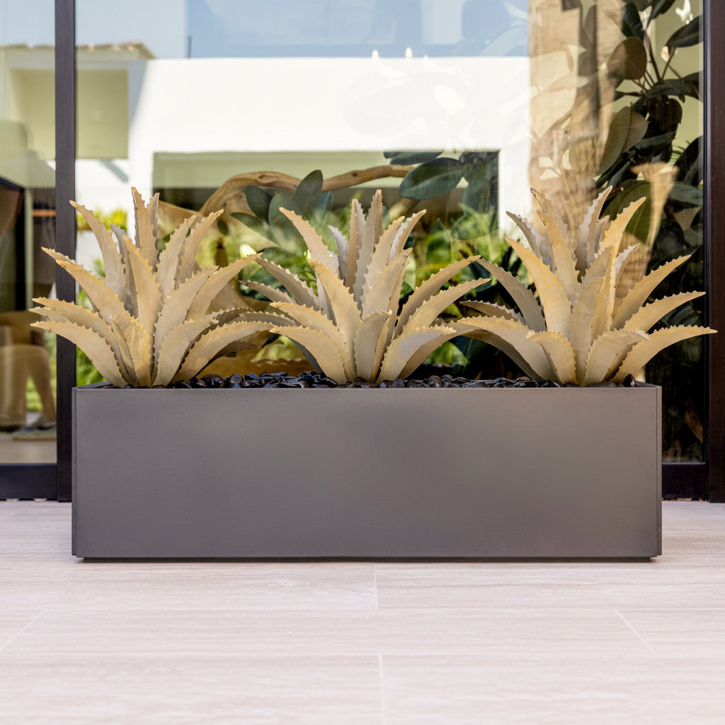 Decorative planter with aloe vera plants on a wooden surface