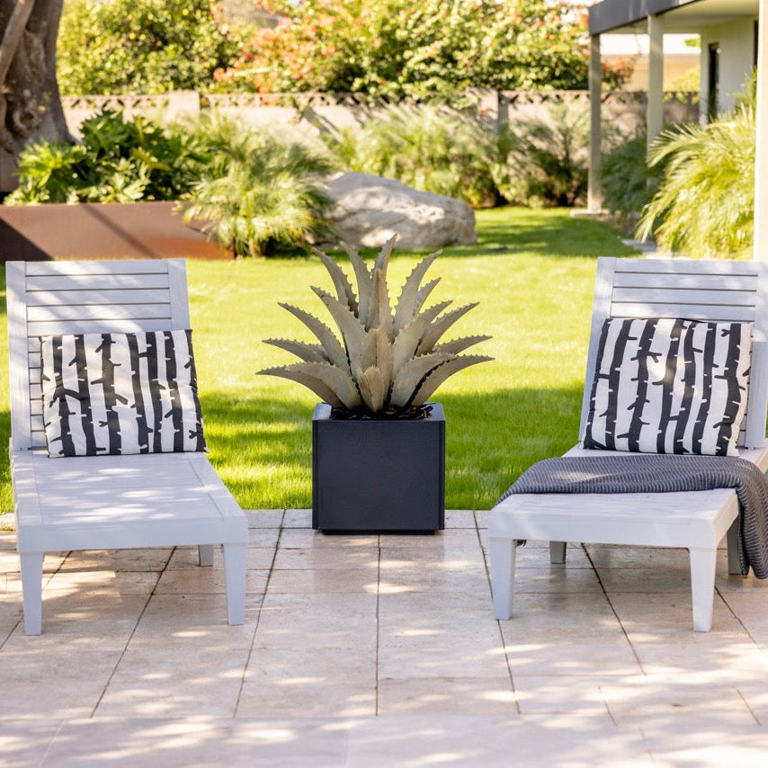 Two outdoor chairs with cushions on a patio area with steel agave in a planter and a house in the background.