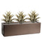 Sawtooth Agaves + Planter Bundle