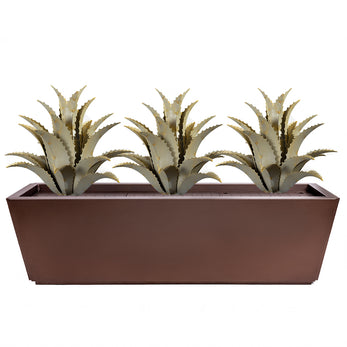 Sawtooth Agaves + Planter Bundle