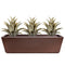 Sawtooth Agaves + Planter Bundle