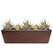 Sharkskin + Artichoke + Planter Bundle