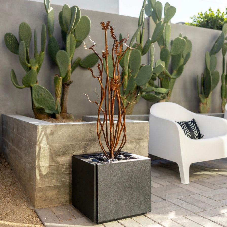 Ocotillo cacti in steel graphite planter on a patio with white chairs and a table.