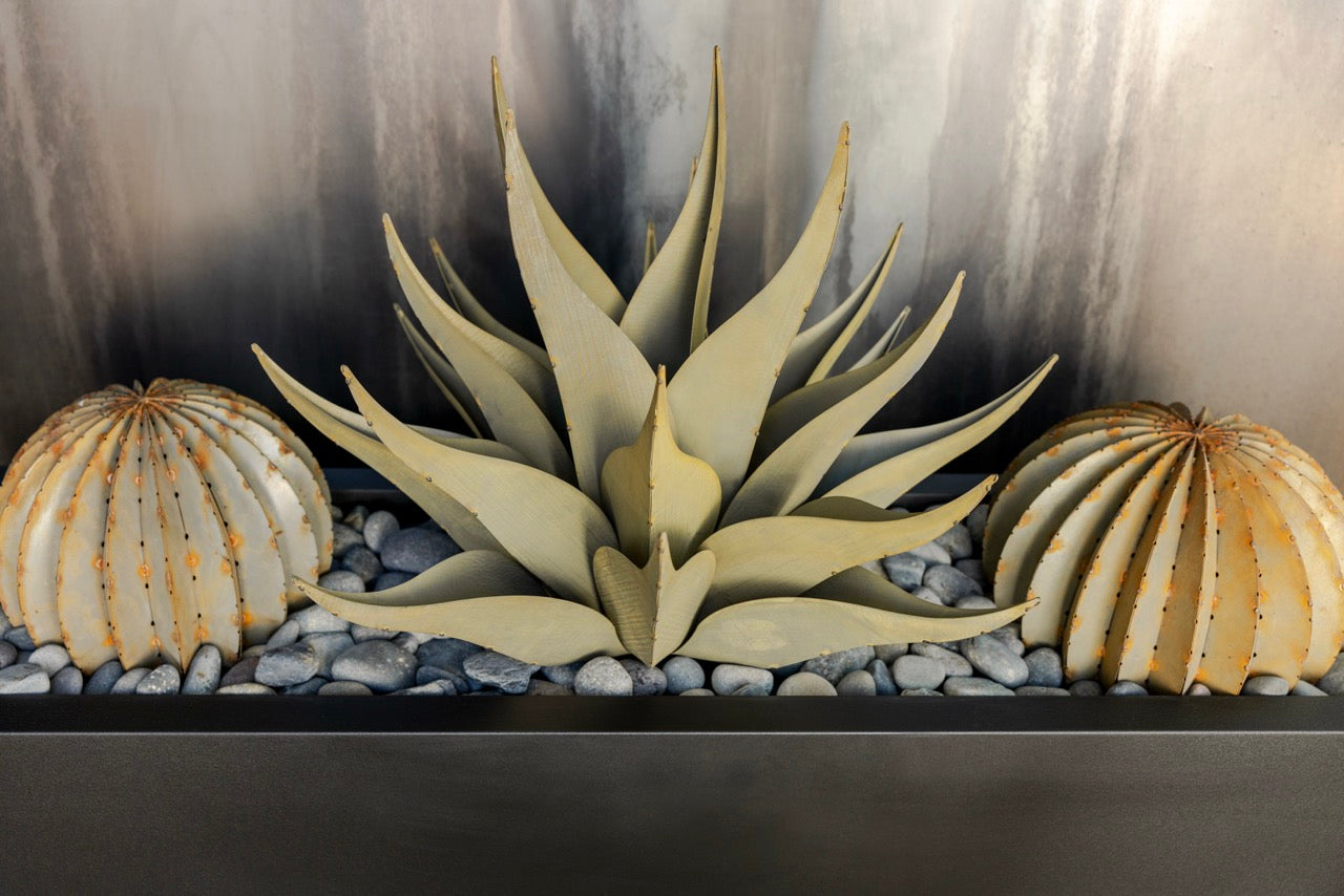 shark succulent planter Sharkskin + Barrel + Planter Bundle