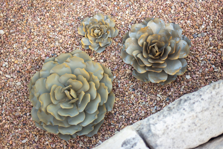 All—Small, Medium and Large Blue Rose in rock landscaping.
