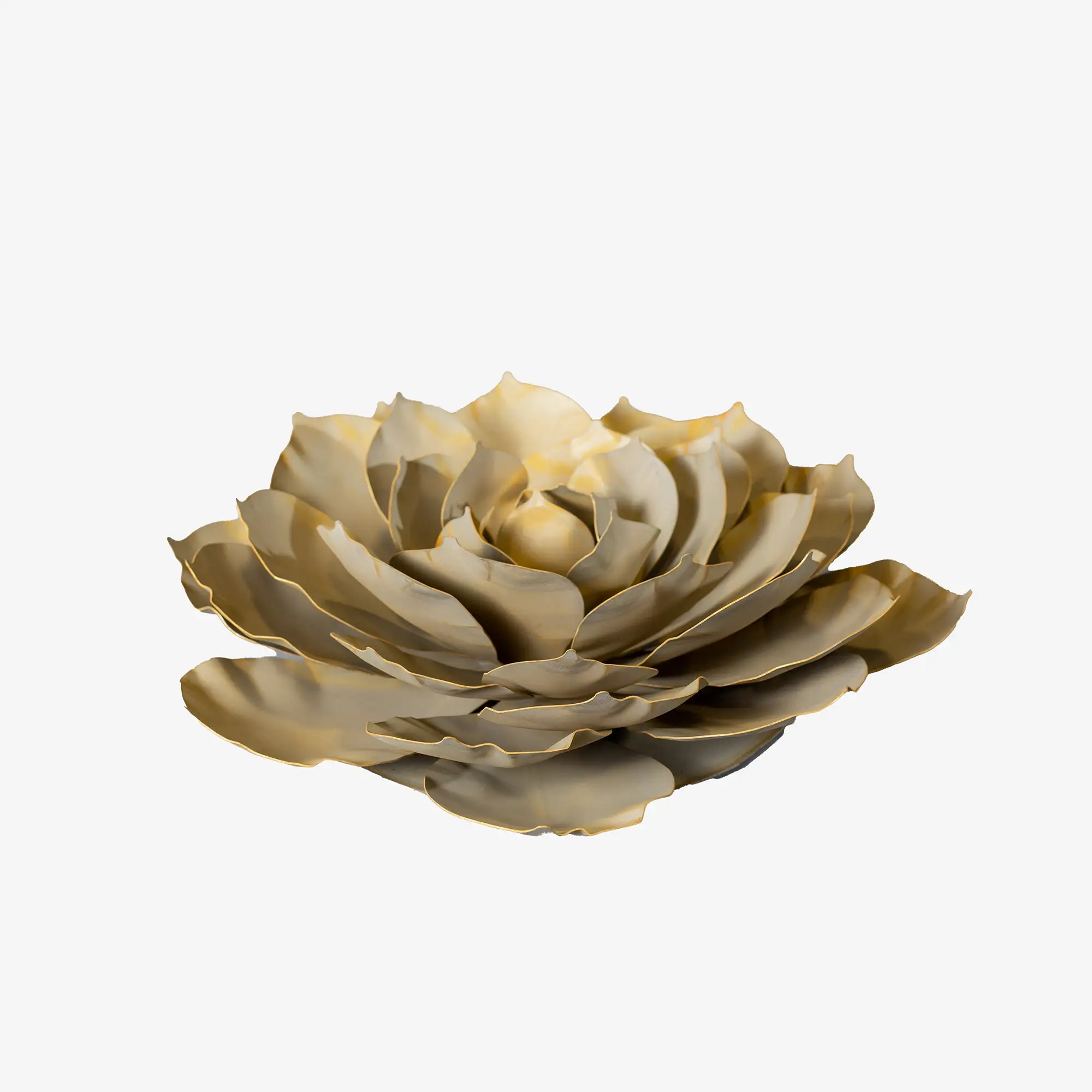 desert steel succulents Desert Steel Medium 16 Indoor Outdoor Blue Rose Succulent