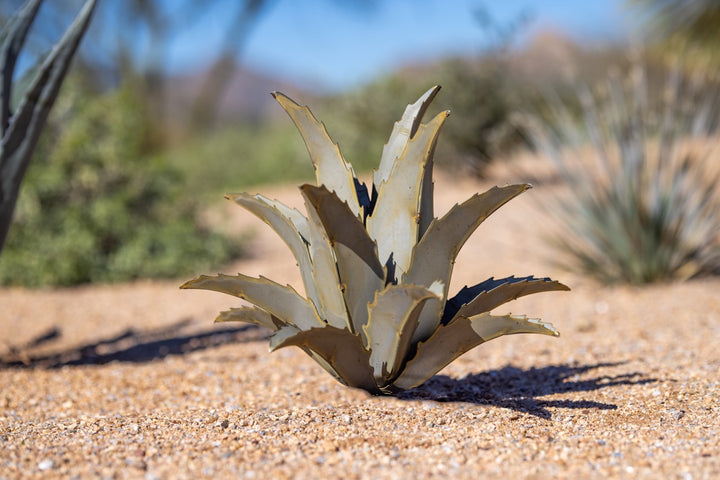 A large metal Americana Agave with a desert landscape background. The metal sculpture features a lifelike, handcrafted design. 