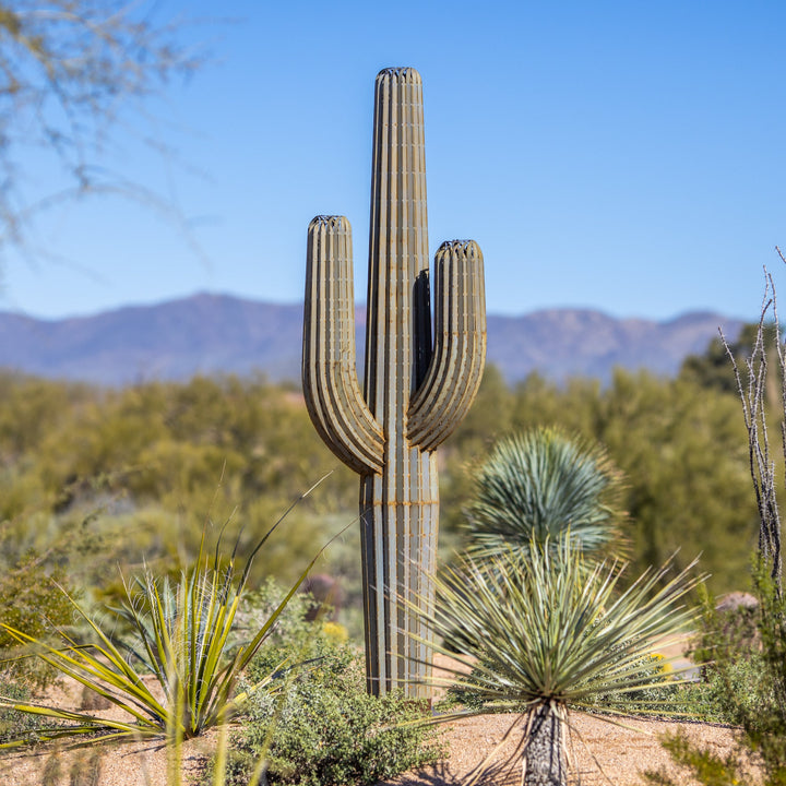 A large metal saguaro cactus located within the desert. The sculpture's intricate design features a realistic saguaro body and arms, creating a lifelike appearance.