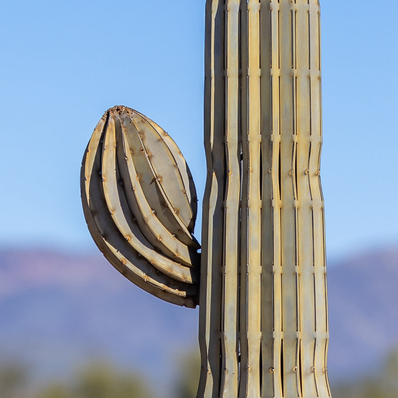 A metal saguaro nub sculpture paired with the handcrafted metal saguaro cactus, surrounded by a desert landscape.