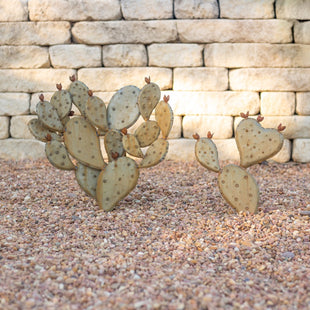 Prickly Pear Heart