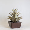 Planter (Sawtooth)